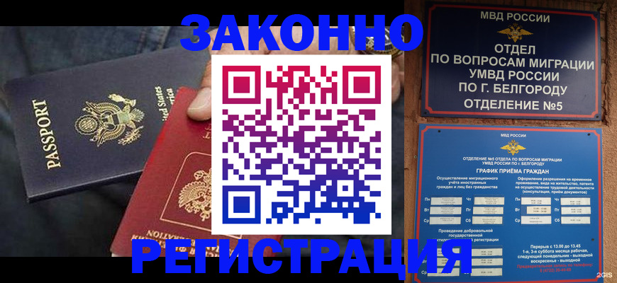 прописка законно в Белгороде